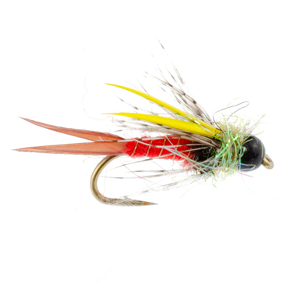 3 Pack Tungsten Bead Head Nicks Prince Special Nymph Fishing Flies - Hook Size 10