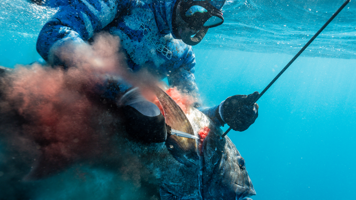 Dive Knife by 7 Seas | Titanium Alloy | T1 Series