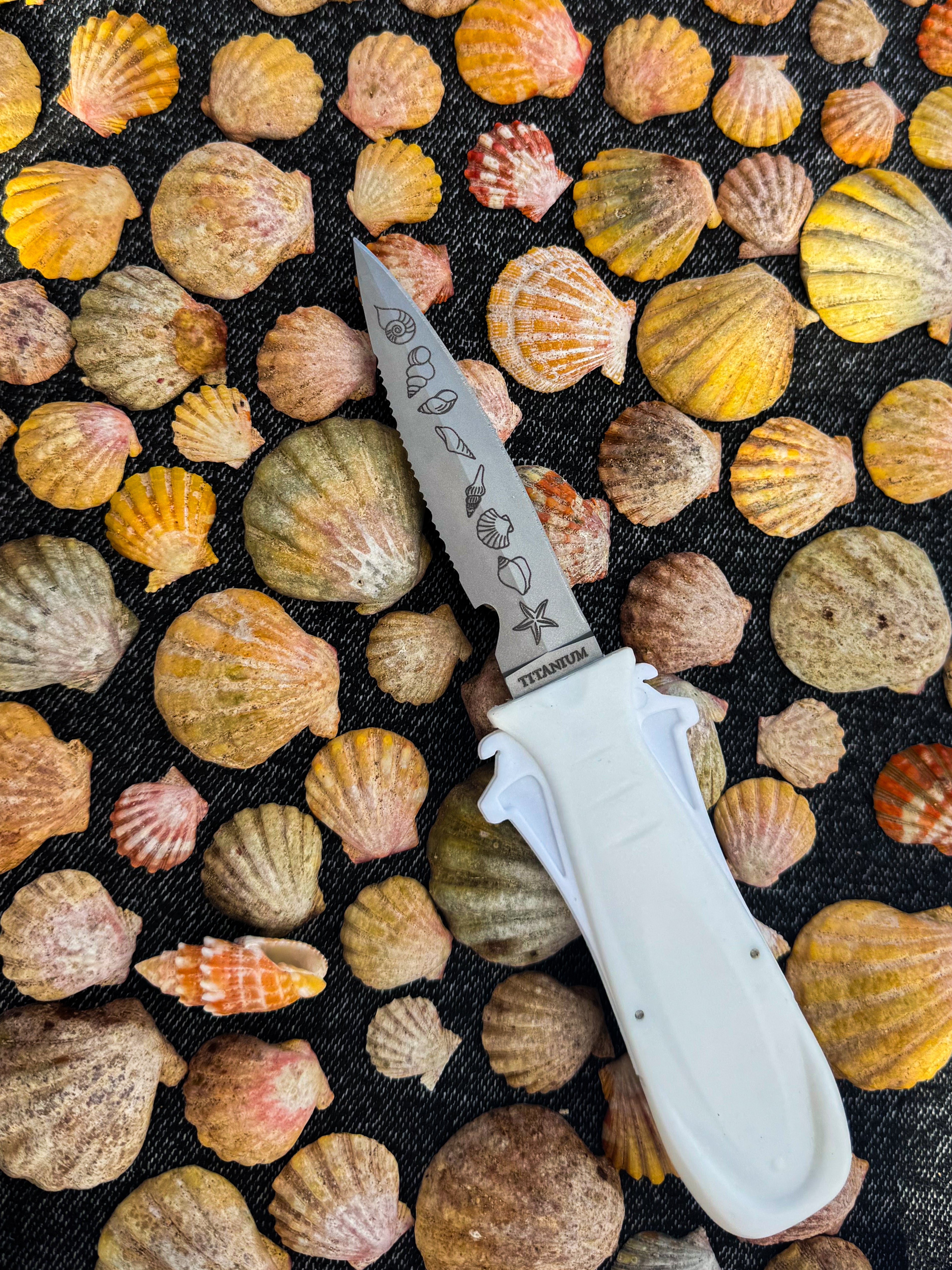 Dive Knife by 7 Seas | Titanium Alloy | T1 Series